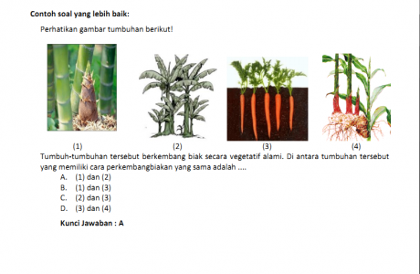 Teknik Penulisan Soal Pilihan