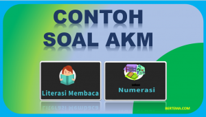Contoh Soal AKM