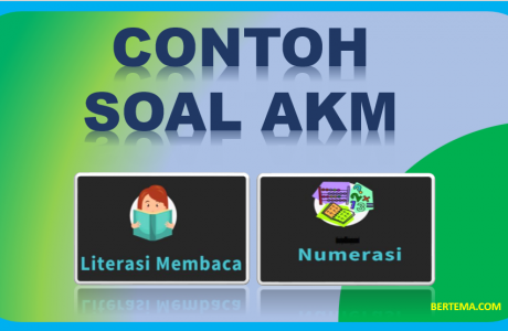 Contoh Soal AKM