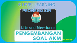 6 Level Learning Progression
