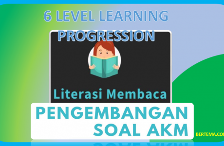 6 Level Learning Progression