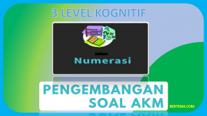 3 Level Kognitif AKM Numerasi