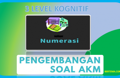 3 Level Kognitif AKM Numerasi