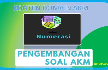 Konten Domain AKM Numerasi