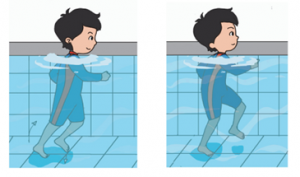 Soal UAS Kelas 2 Tema-7 Tahun Pelajaran 2020-2021 dengan Kunci Jawabannya