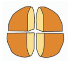 Soal UAS Kelas 2 Tema-7 Tahun Pelajaran 2020-2021 dengan Kunci Jawabannya