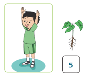 UAS Kelas 1 Tema-7 Tahun Pelajaran 2020-2021 dengan Kunci Jawabannya