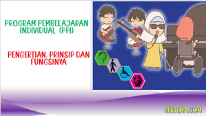 Program Pembelajaran Individual (PPI) Pengertian, Prinsip dan Fungsinya