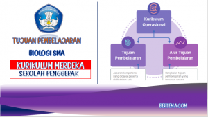 Tujuan Pembelajaran Biologi SMA Kurikulum Merdeka